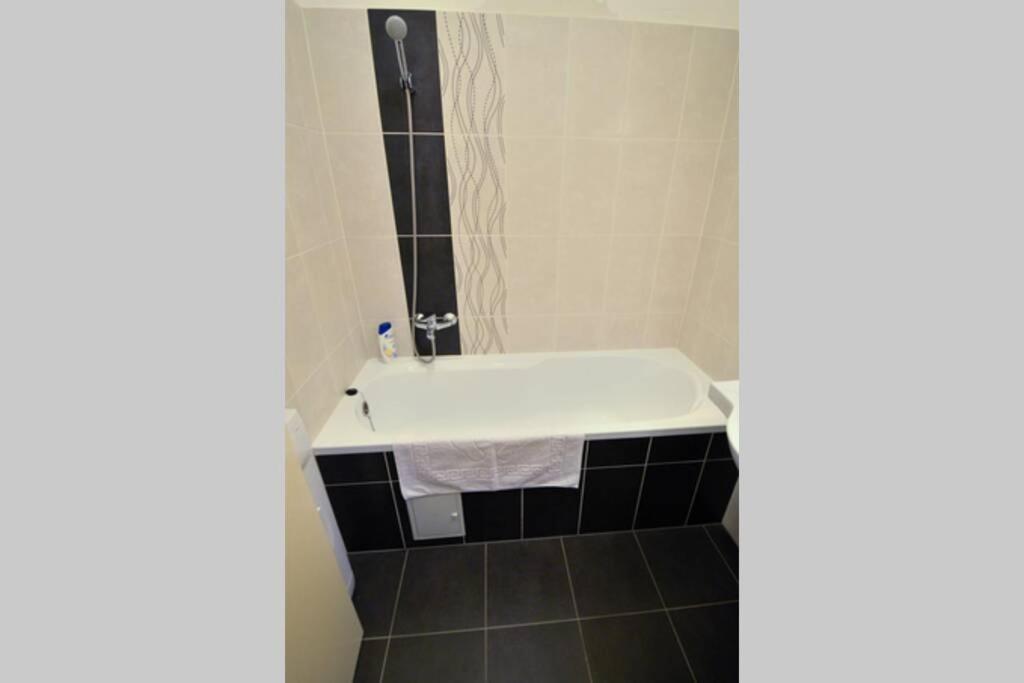 City Center Apartment ديبريتْسين المظهر الخارجي الصورة
